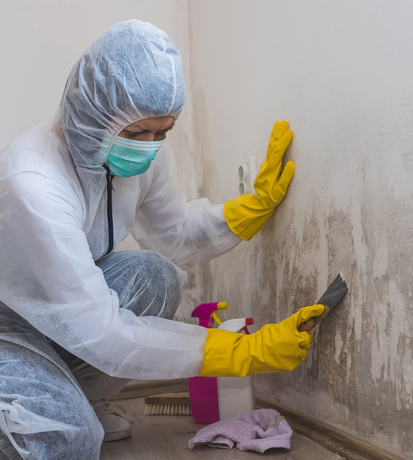 Mold-damage-can-make-it-difficult-to-sell-your-home-but-we-buy-any-Vegas-house